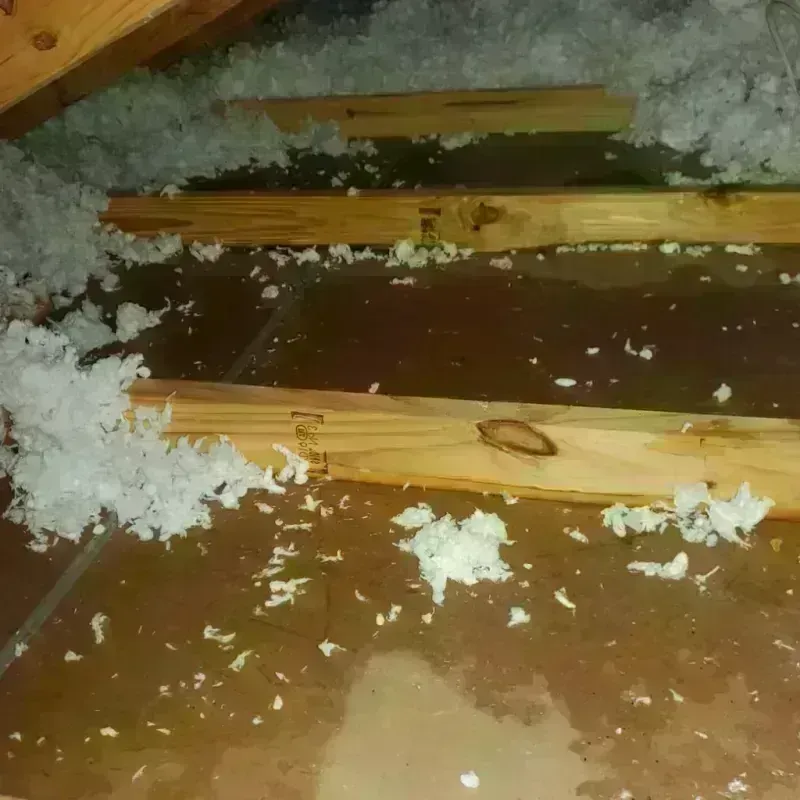 Attic Water Damage in Bright, IN